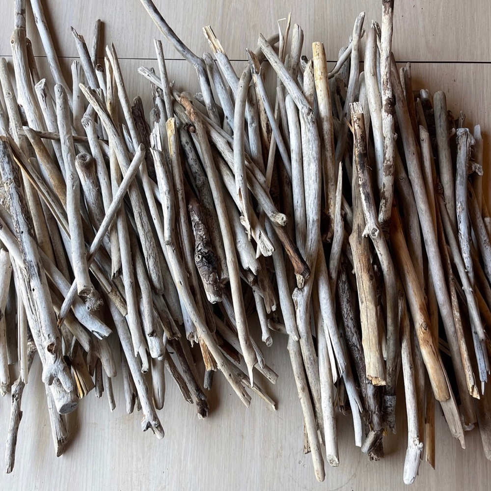 Super Thin Oregon Driftwood Sticks